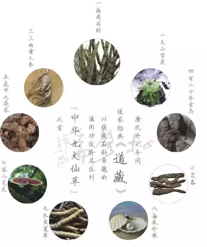 揭秘|九大仙草之首，很多人理解錯了！